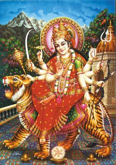 White Durga Poster